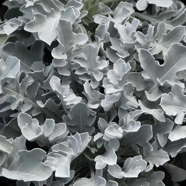 Chrome Fountain Fancifillers